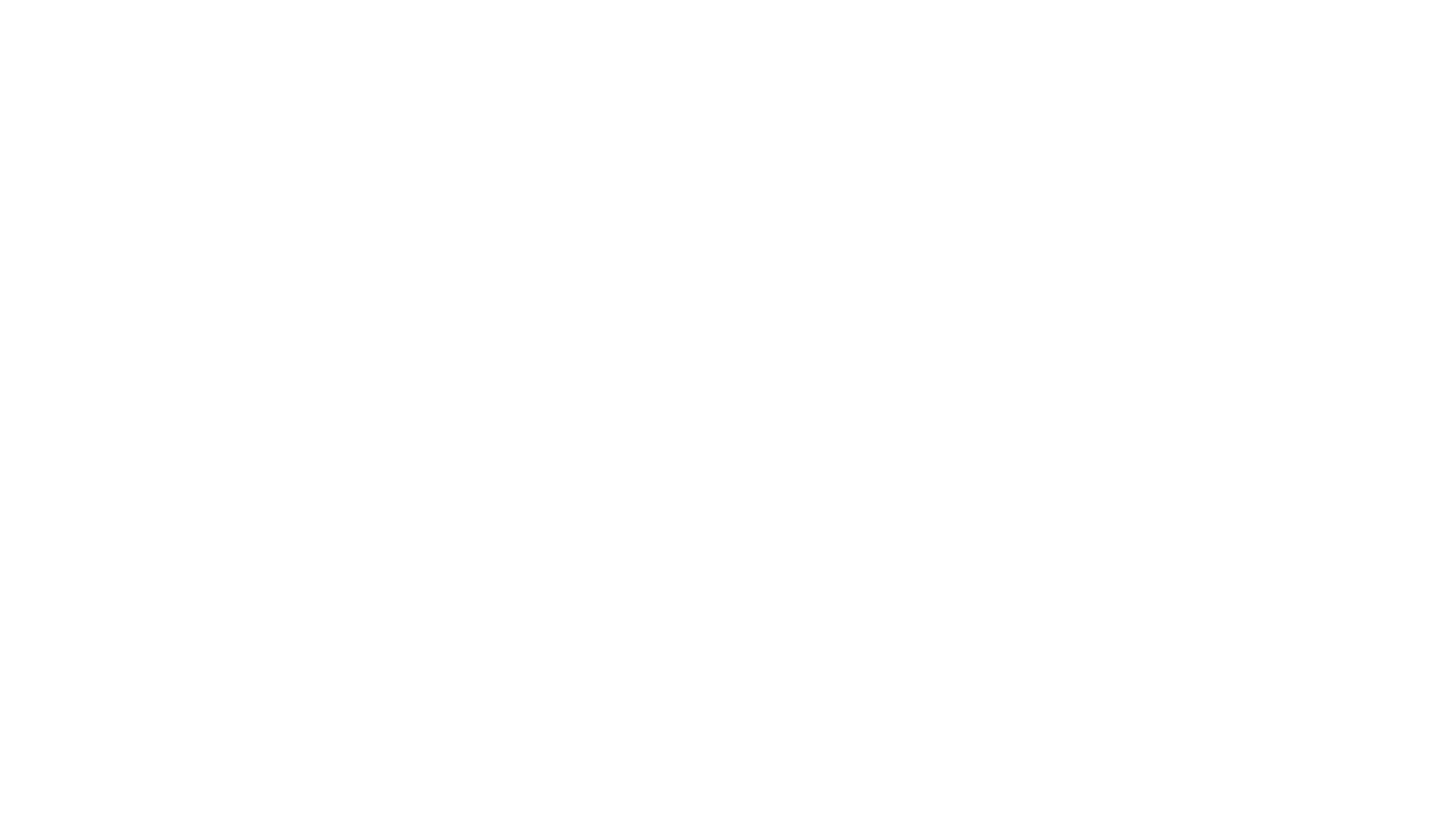 Planet Focus FF